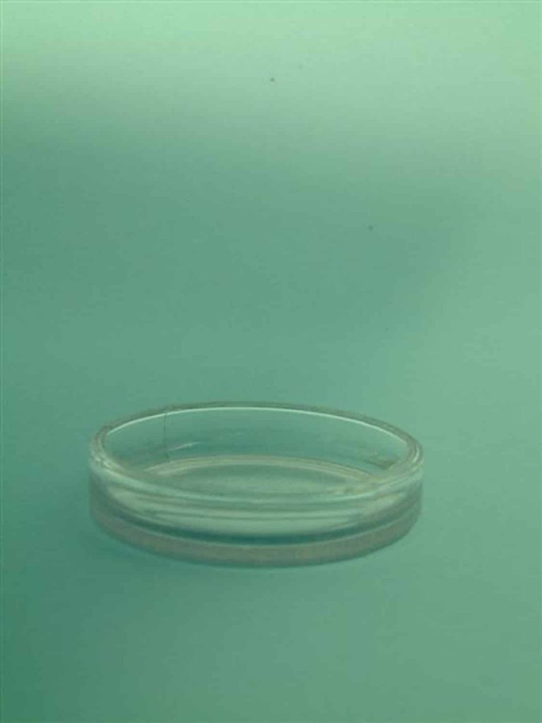 Sugar glass Petri dish, 1.5 cm x ø 9 cm.